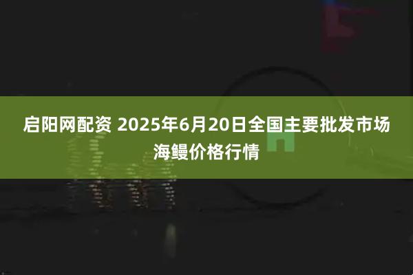 启阳网配资 2025年6月20日全国主要批发市场海鳗价格行情