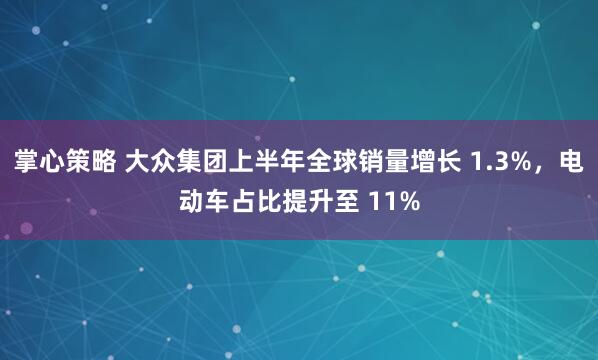 掌心策略 大众集团上半年全球销量增长 1.3%，电动车占比提升至 11%