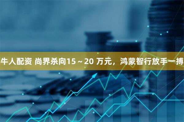 牛人配资 尚界杀向15～20 万元，鸿蒙智行放手一搏