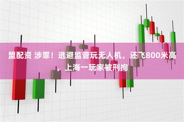 盟配资 涉罪！逃避监管玩无人机，还飞800米高，上海一玩家被刑拘